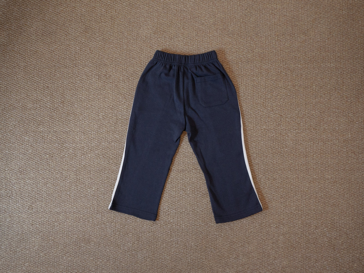 line pants navy back