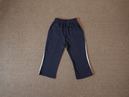 line pants navy back