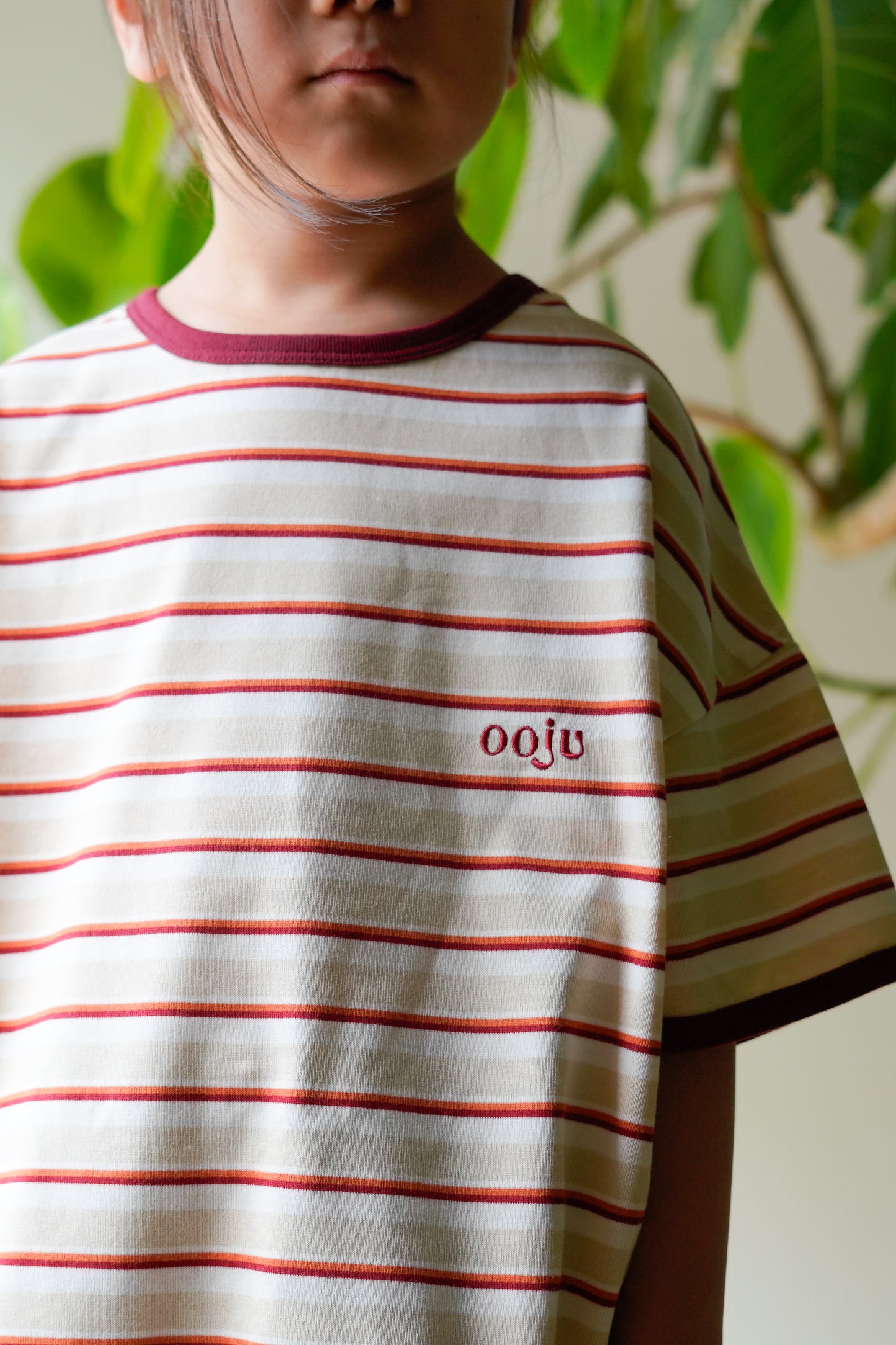 multi border ringer t-shirts
