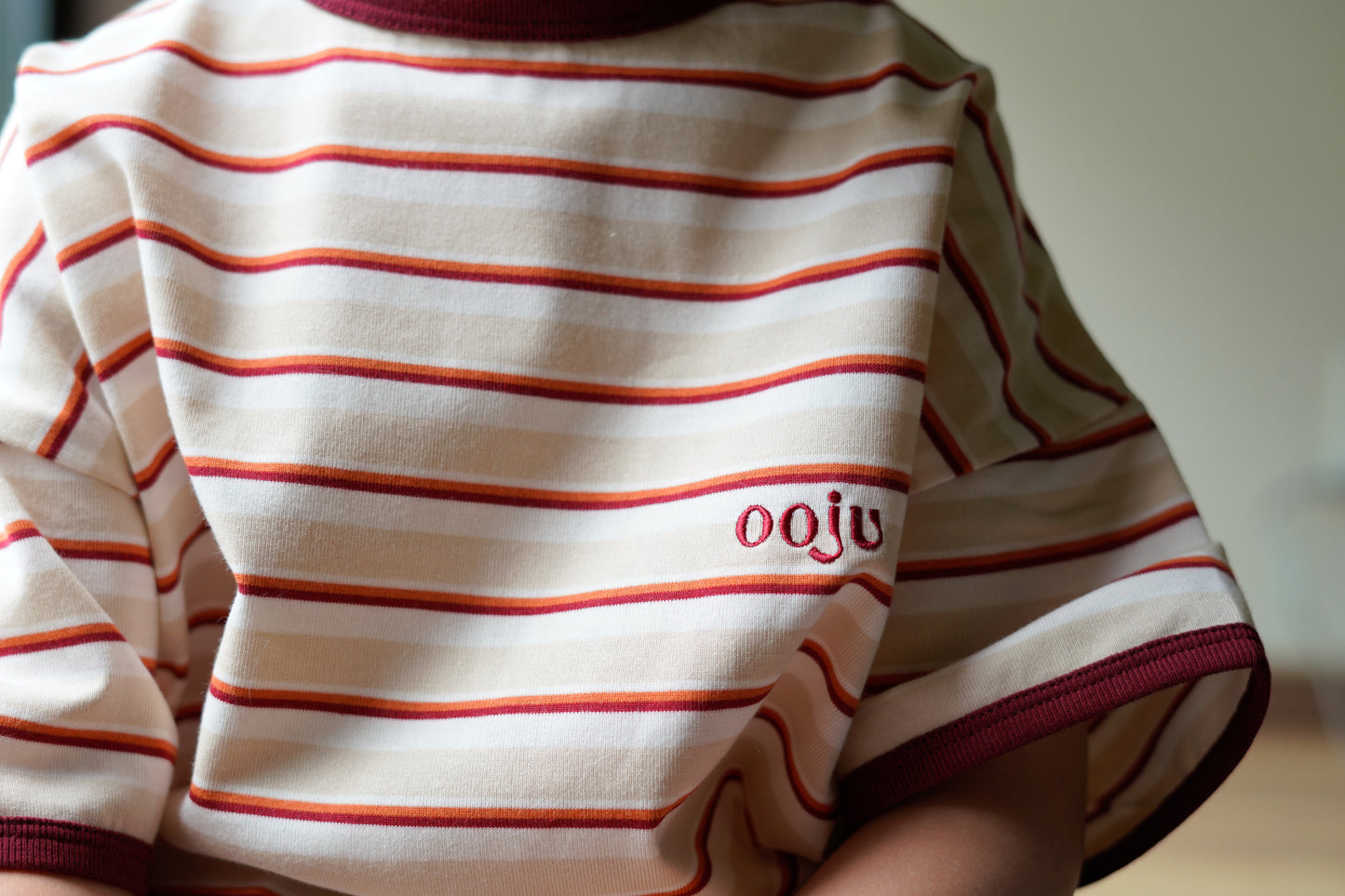 multi border ringer t-shirts