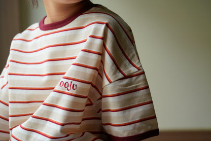 multi border ringer t-shirts