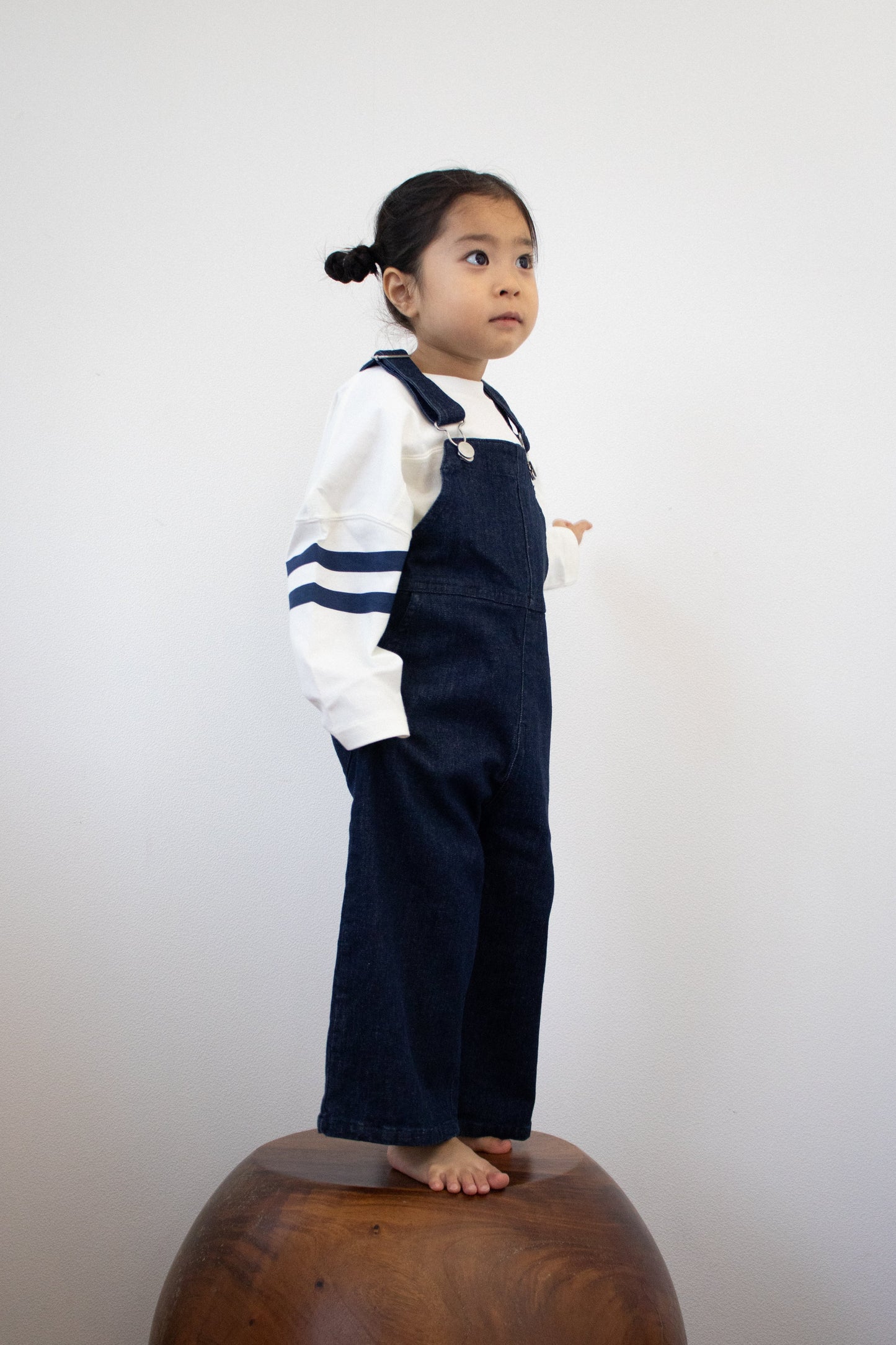 denim over all navy