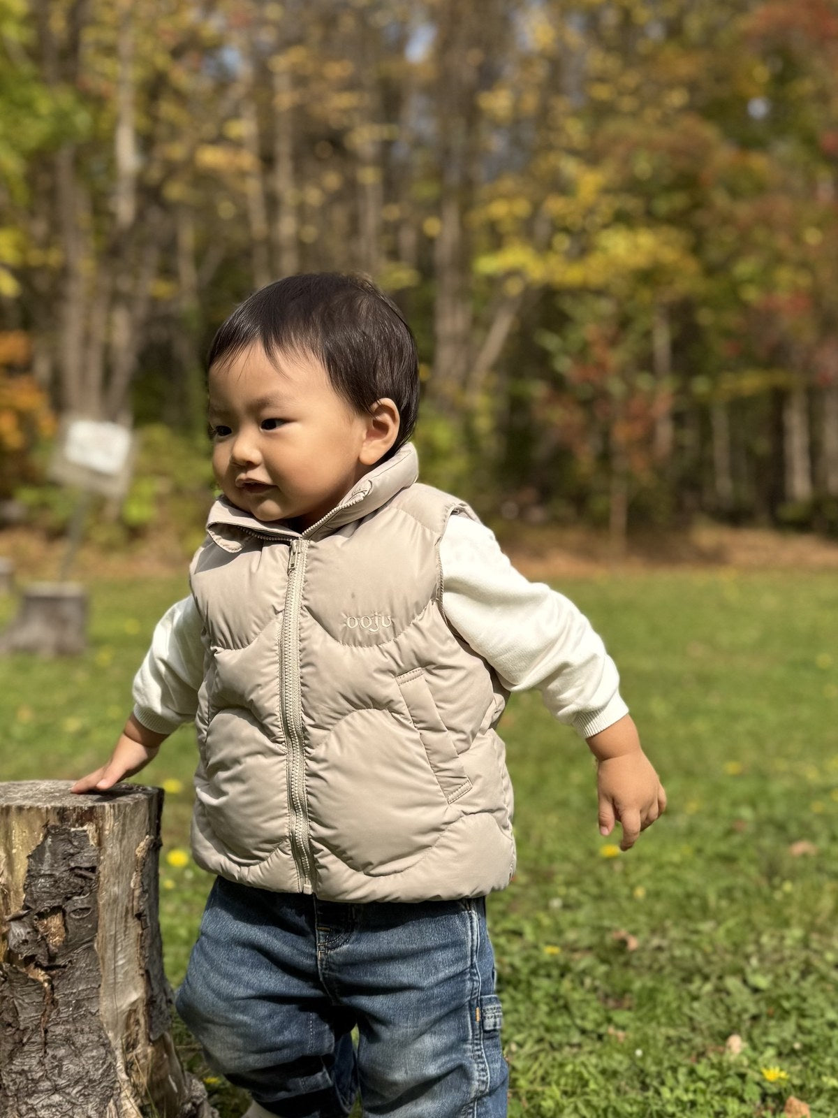 quilting padded vest — greige